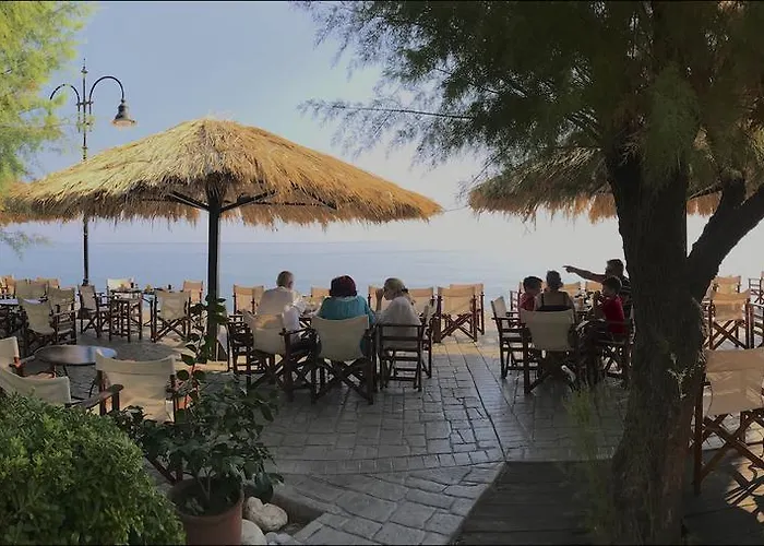 Inn Pansion Martha *